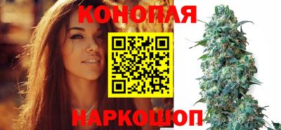 мдпв Дубна