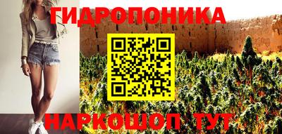 мдпв Дубна