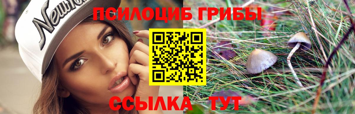 Междуреченск  Псилоцибиновые грибы MAGIC MUSHROOMS  Вход с VPN  купить наркоту  Галлюциногенные грибы ЛСД 